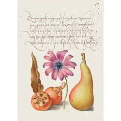 Botanische Poster und Leinwandbilder. Book of Calligraphy, VIII
