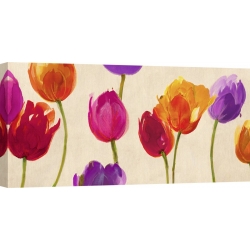 Wall art print and canvas. Luca Villa, Tulips in Colors