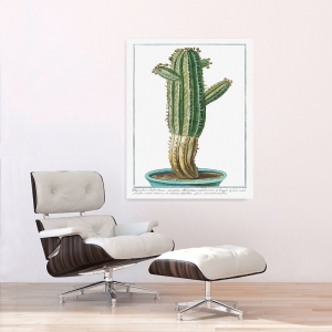 Wall art print, canvas, poster. Giorgio Bonelli, Cactus Tithymalus