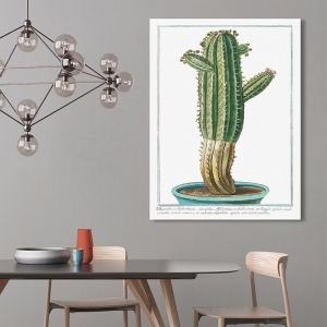 Botanik Poster. Giorgio Bonelli, Cactus Tithymalus