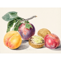 Tableau sur toile. Van Huysum, Fruits I