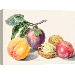 Wall art print, canvas, poster. Michiel van Huysum, Fruits I