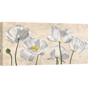 Cuadros de flores en canvas. Luca Villa, Amapolas en blanco