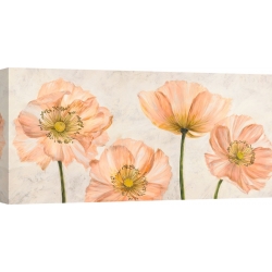 Wall art print and canvas. Luca Villa, Poppies in Pink