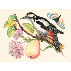Wall art print, canvas, poster. A bird perched on a branch I