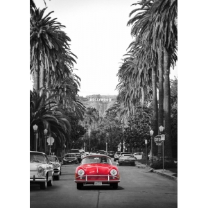 Cuadros y posters de autos. Boulevard in Hollywood