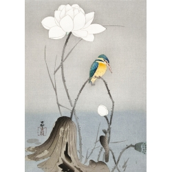 Tableau japonais. Ohara Koson, Martin-pêcheur et fleur de lotus