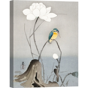 Japanese art print, poster. Ohara Koson, Kingfisher on Lotus Flower