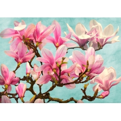 Wall art print, canvas, poster. Magnolia Branch (turquoise)