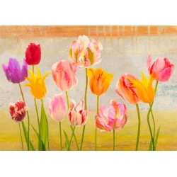 Tableau fleurs modernes sur toile. Rizzardi, Tulipes d'été