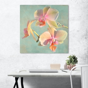 Tableau fleur moderne sur toile. Luca Villa, Orchidées précieuses I