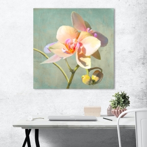 Tableau fleur moderne sur toile. Luca Villa, Orchidées précieuses II