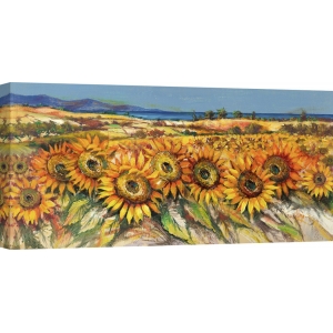 Leinwandbilder Landschaft. Luigi Florio, Feld der Sonnenblumen