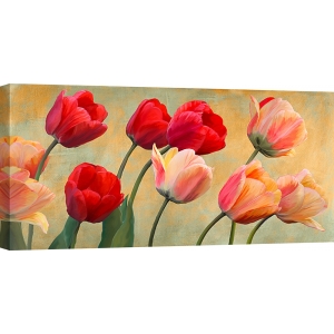 Quadro, stampa su tela con fiori. Luca Villa, Tulipani d’estate
