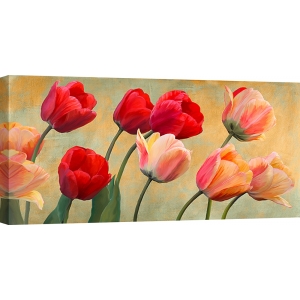 Wall art print and canvas. Luca Villa, Golden Tulips