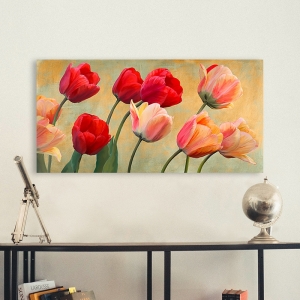 Wall art print and canvas. Luca Villa, Golden Tulips