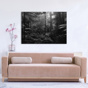 Wall art print and canvas. Pangea Images, In the Jungle
