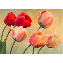 Tableau fleur moderne sur toile. Luca Villa, Tulipes d'or (détail)