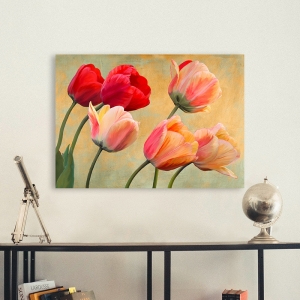 Wall art print and canvas. Luca Villa, Golden Tulips (detail)