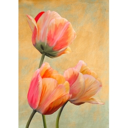Cuadro en lienzo, flores modernos. Luca Villa, Tulipanes dorados I