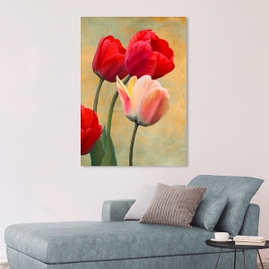 Quadro, stampa su tela con fiori. Luca Villa, Tulipani rossi