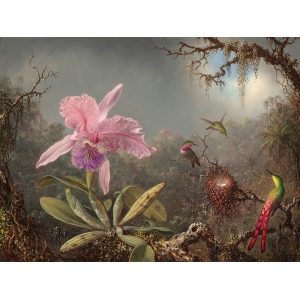 Kunstdruck Martin Johnson Heade, Orchidee und drei Kolibris