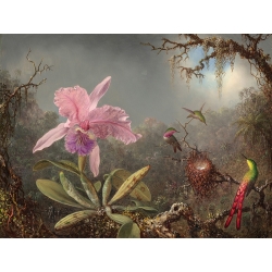 Cuadro en lienzo Martin Johnson Heade, Orquídea y tres colibríes