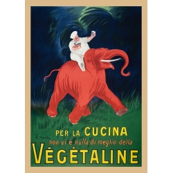 Vintage Poster, Bilder auf Leinwand. Leonetto Cappiello, Végétaline