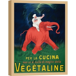 Tableau et affiche vintage cuisine. Leonetto Cappiello, Végétaline