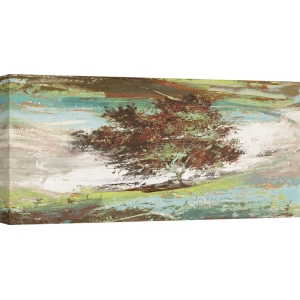 Wall art print and canvas. Luigi Florio, Washed Tree