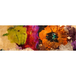Cuadro flores modernos en lienzo. Jim Stone, Floating Flowers I