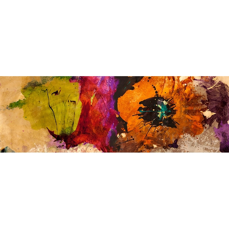 Quadro fiori moderni, stampa su tela. Jim Stone, Fiori Astratti I