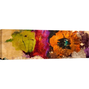 Quadro fiori moderni, stampa su tela. Jim Stone, Fiori Astratti I