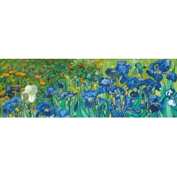 Quadro stampa su tela. Vincent Van Gogh, Iris (dettaglio)