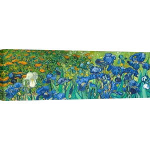 Cuadro en lienzo Vincent van Gogh, Iris (detalle)