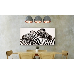 Wall art print and canvas. Zebras in love