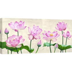 Quadro, stampa su tela. Shin Mills, Lotus Flowers