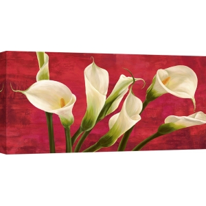 Tableau floral sur toile. Serena Biffi, Callas en rouge