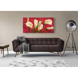 Wall art print and canvas. Serena Biffi, Callas in Red