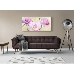 Wall art print and canvas. Serena Biffi, Classical Roses