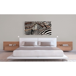 Wall art print and canvas. Pangea Images, Herd of zebras