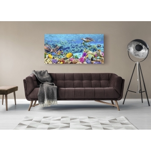 Wall art print and canvas. Pangea Images, Sea Turtle and fish, Maldivian Coral Reef