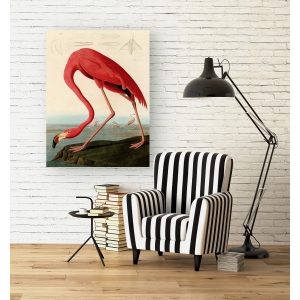 Leinwandbilder. John James Audubon, American Red Flamingo