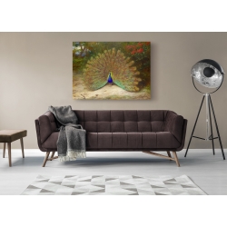 Wall art print and canvas. Archibald Thorburn, Peacock and Peacock Butterfly