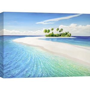 Wall art print and canvas. Adriano Galasso, Tropical Island