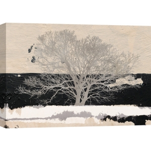 Cuadro árbol en canvas. Alessio Aprile, Silver Tree