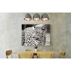 Leinwandbilder. Anonym, Porträt eines Leoparden, Südafrika