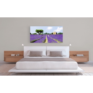 Wall art print and canvas. Pangea Images, Lavender Fields, France