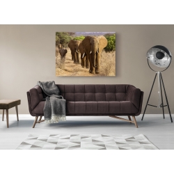 Tableau sur toile. Anonyme, Troupeau d'éléphants d'Afrique, Kenya