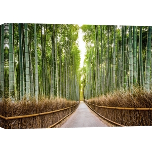Quadro, stampa su tela. Pangea Images, Foresta di bamboo, Kyoto, Giappone
